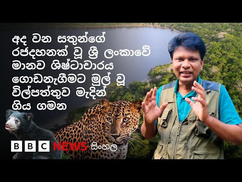 ඉතිහාසය, පුරාවෘත්ත සහ වන සතුන් පිරි විල්පත්තු වනය මැදින් කුවේණිගේ මාලිගයට ගිය ගමන | BBC News සිංහල