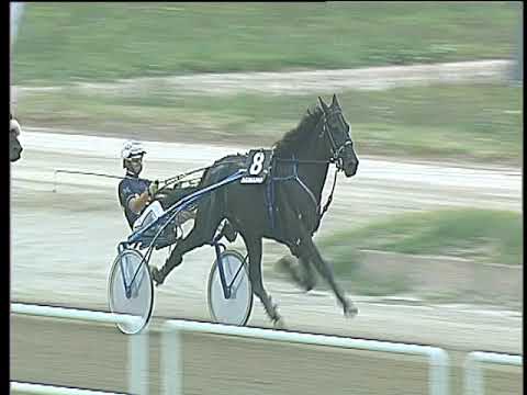 Trotto 01/09/2017 - 3ª corsa