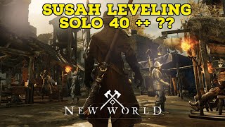Tips leveling solo level 40 - 60 berikut penjelasanya | New World Indonesia