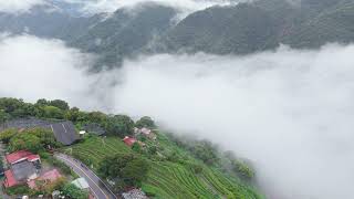清境雲海真的很美