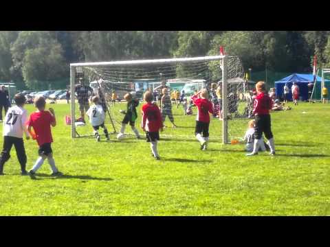 Tervarit maalaa EPS kaatuu