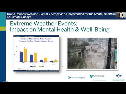 Forest Therapy as an Intervention for the Mental Health Impacts of Climate Change