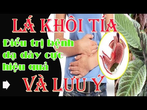 , title : 'Dùng lá khôi tía điều trị viêm loét dạ dày bạn phải biết điều này'