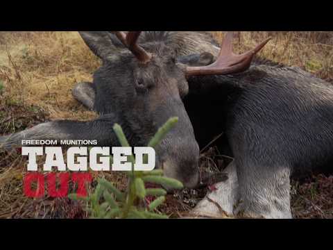 Tagged Out in Action - Moose