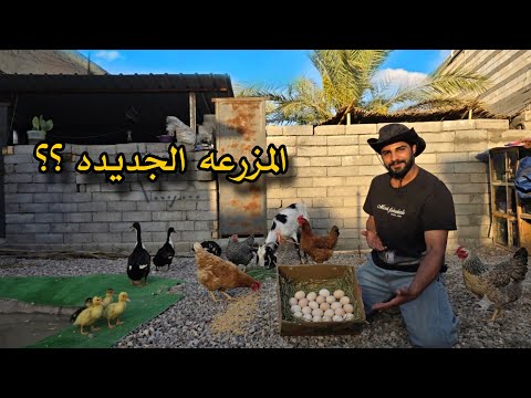 كبرت المحميه !! وشتريت حيوانات جديده 🐔🦆🐤