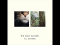 A.C. Newman - On the Table