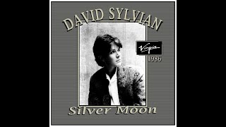 David Sylvian - Silver Moon (1986)