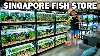 Singapore Fish Store Tour! Rare Fish & Shrimp!