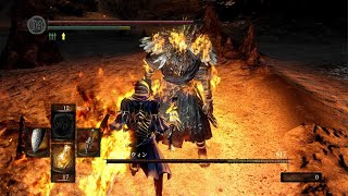【DARK SOULS REMASTERED】薪の王グウィン戦　ダークソウルリマスタード動画6