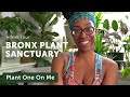 HOUSEPLANT HOME Sanctuary in the BRONX — Ep. 224