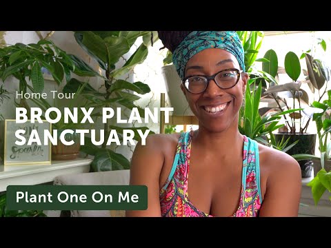 HOUSEPLANT HOME Sanctuary in the BRONX — Ep. 224