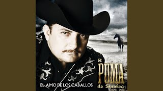 El Amo De Los Caballos