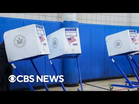 Unpacking the primary races in New York and South Carolina