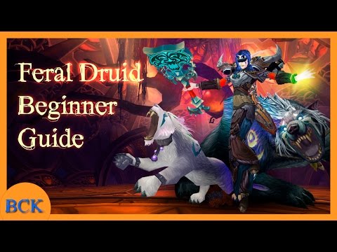 Feral Druid Guide Warlords of Draenor by BCK