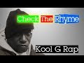 Kool G Rap - It's A Shame (1995) | Check The Rhyme