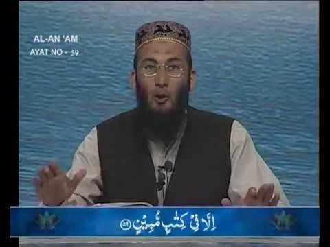 Sout ul Quran - 038 Al-Ana'am 56 to 94