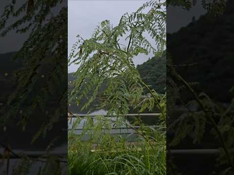 Cordoba #cordoba #argentina #travel