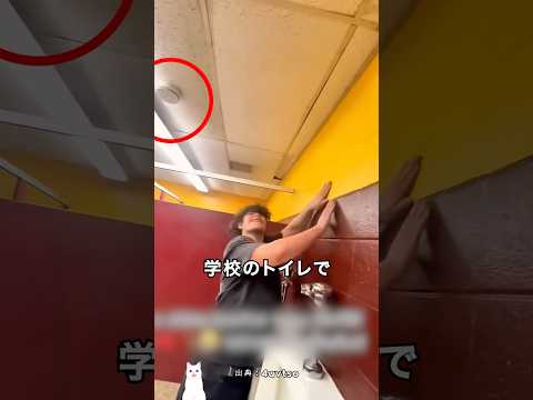学校のトイレに設置された怪しい装置