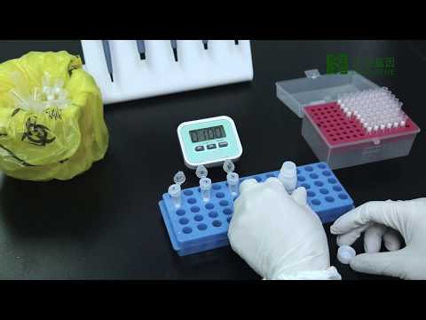 Instruction of  the 48 tests/kit RNA and DNA Purification Kit(Spin  Column ) 202005