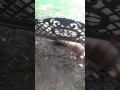 Ball War