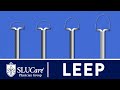 Loop Electrosurgical Excision Procedure (LEEP) to Remove Abnormal Cells - SLUCare OB/GYN