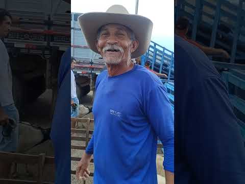 BIGODE NA FEIRA DE ANIMAIS EM PARNAMIRIM-PE. 24/02/2026. #nordeste