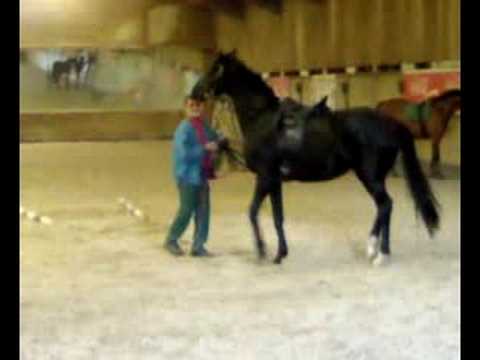 Am Reiterhof - Teil 2