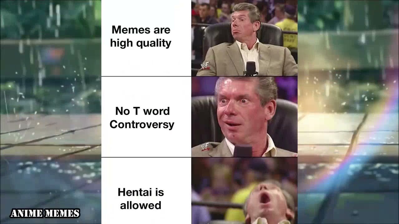 ANIME MEMES V28 ~ PERFECT WAIFU