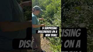 5 exciting discoveries on a new trail - foraging for berries, flowers, and tree species