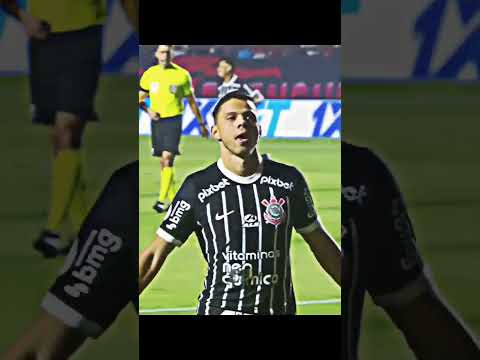 Galinha emocionada emocionou Sao Paulo 2 x corinthians   🇾🇪 #SaoPaulo #SPFC #brasileirão #Classico