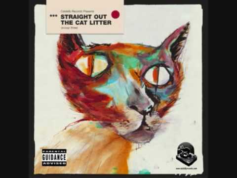 channel surfing - feature cast