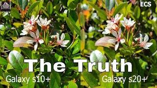 [閒聊] 美版S20+ vs S10+ 拍攝比對