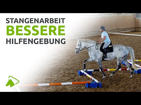 Stangenarbeit: 5 Ideen für bessere Einwirkung als Reiter | wehorse