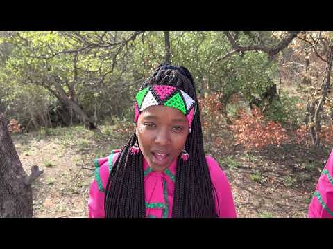 Ndlovu Youth Choir  - Easy On Me Acapella