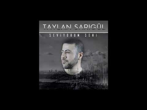 Taylan Sarıgül - Seviyorum Seni (Official Audio)