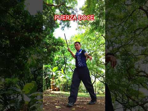ARNIS FMA PUERZA DOCE #arnis #filipinomartialarts #arnisstick #martialarts #barawolisi #kaliarnis