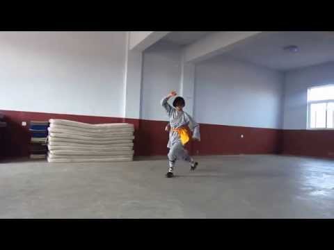 Davina - Baji Hei Hu Quan (Black Tiger Fist)