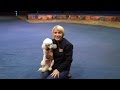 Save The Circus Jenny Charlie Thank Our Supporters