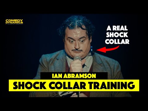 Shock Collar Training - Ian Abramson
