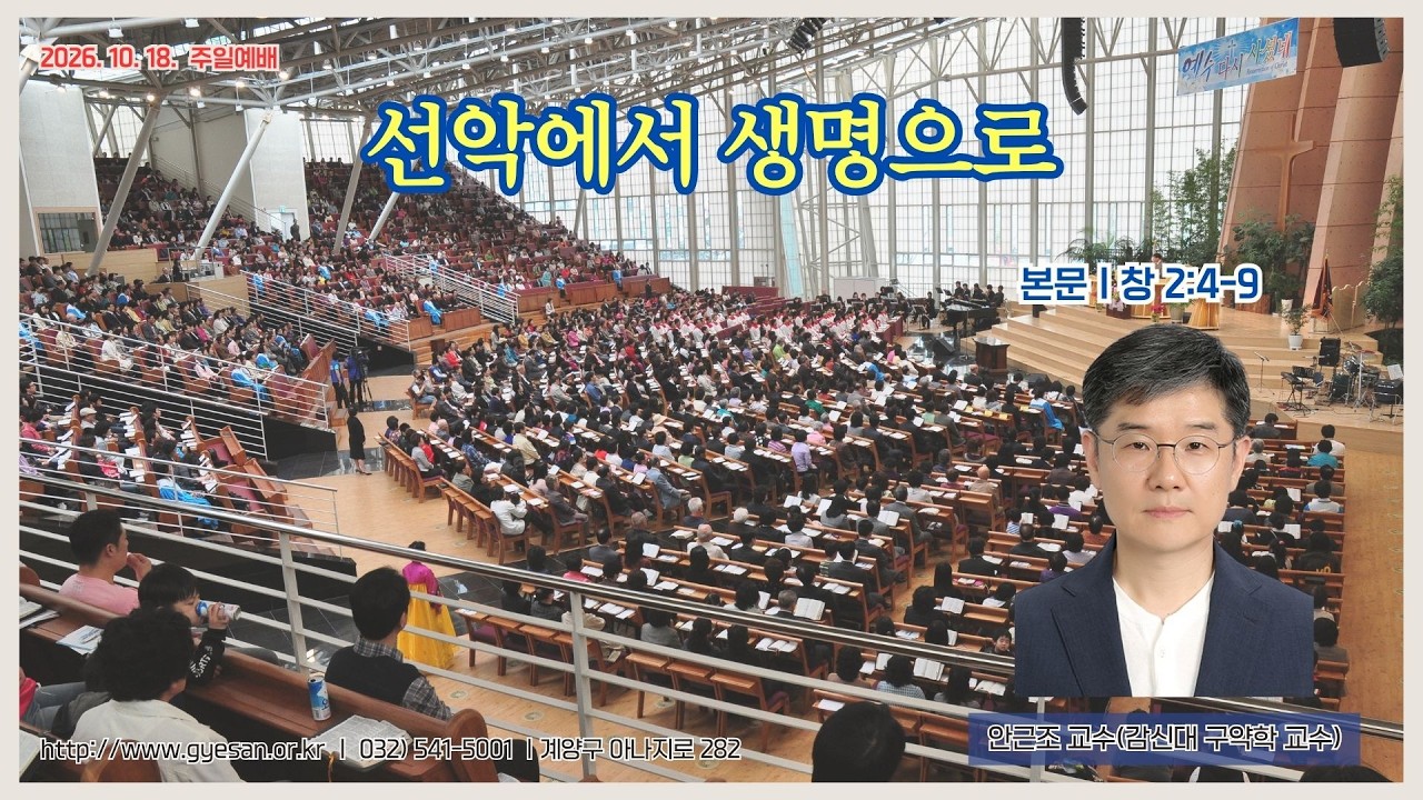 선악에서 생명으로