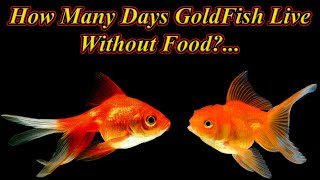 How Many Days Gold Fish Can Live Without Food?. Suitable For All Fishes. Tamil / Fish Aquarium Tamil
