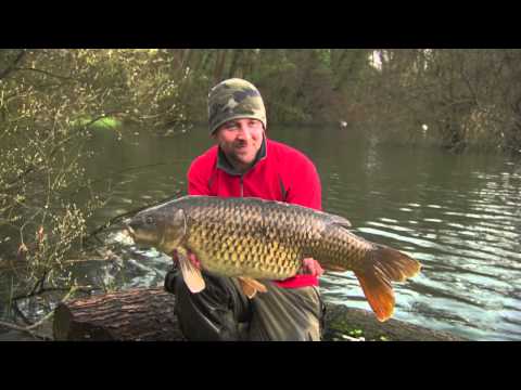 Thinking Tackle Season 5 Show 5 - Carp Fishing at Chilham Mill Kent - Trailer