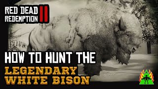 Red Dead Redemption 2 - How to Hunt The Legendary White Bison