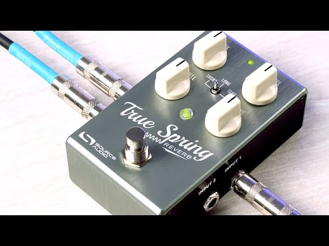 NEW! Source Audio True Spring - Reverb and Tremolo FREE SHIPPING! image 8