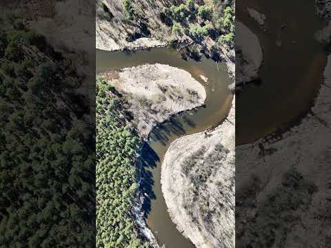 Nida - okolice Sobkowa