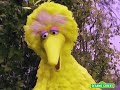 Sesame Street Telly Plays The Triangle With Big Bird