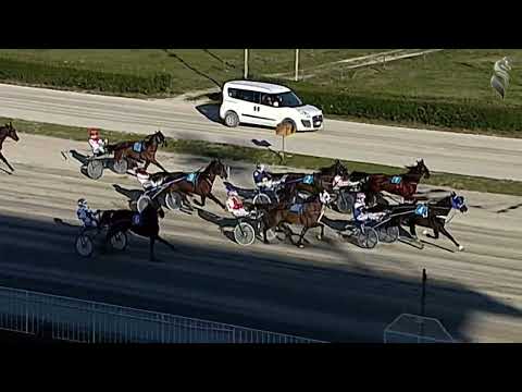 Aversa trotto 8 Febbraio 2023 - 4° Corsa