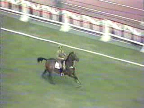 Jan Kowalczyk - IO Moskwa 1980