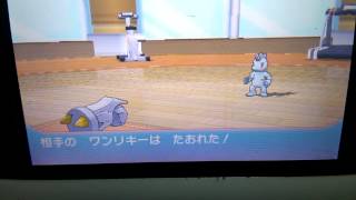 VSトウキ
