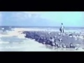 The Gathering - My Electricity - Legendado With Lyrics